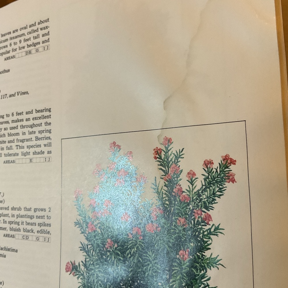 7 The time life encyclopedia of gardening lawns and ground covers Vintage - Picture 8 of 13